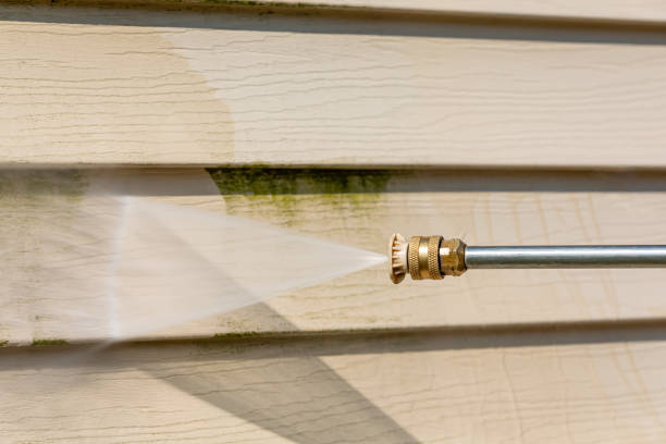 Best Exterior Home Cleaning  in Drexel Heights, AZ