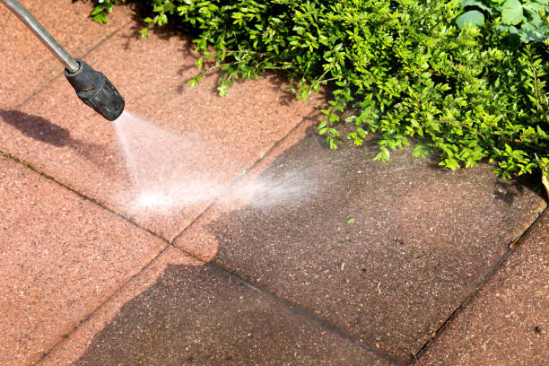 Best Roof Pressure Washing  in Drexel Heights, AZ